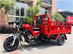 성인용 250cc 화물 세발자전거