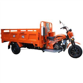 300cc 화물 세발자전거