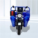 펜더 쓰리 휠러 카고 팜