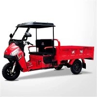 150CC 맞춤형 화물 세발자전거