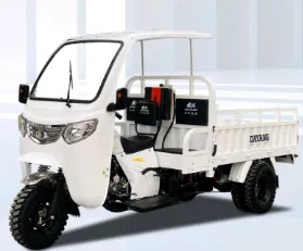 3개의 바퀴 화물 모터 세발자전거